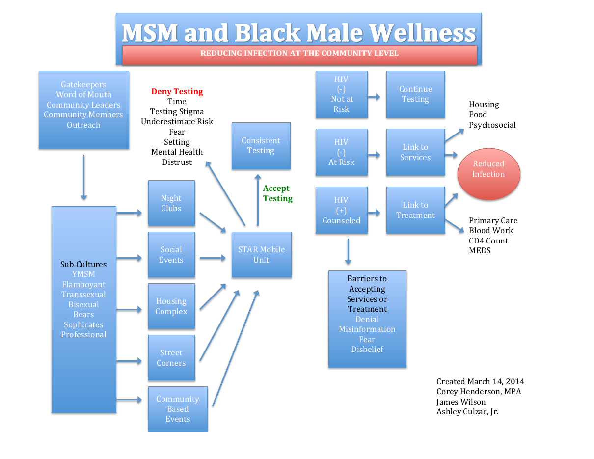 Preview of the MSM and Black Male Wellness community testing model